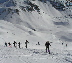 db_P20420486